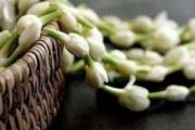 大暑是什么意思啊 大暑养生要注意什么