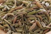 茴香菜是酸性还是碱性 茴香菜是凉性还是热性