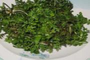 荠菜糖尿病人能吃吗