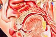鼻窦炎和鼻炎的区别