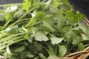 香菜泡水可以喝吗 凉拌香菜需要焯水吗