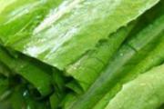 油麦菜和莴笋叶的区别