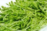 豆芽怎么保存过夜 豆芽放冰箱能放几天