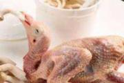 鸽肉有什么营养价值 吃鸽子肉有什么功效