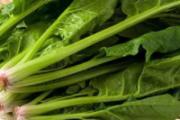 吃什么补叶酸最好 什么蔬菜含叶酸最多