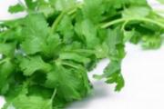 香菜熬水喝有什么功效 这5个你要知道