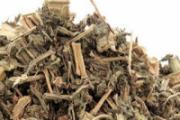 益母草调经什么时候吃 益母草可以催月经吗