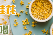 自己摘的桂花怎么处理能泡茶喝 鲜桂花怎么做成干桂花不变色