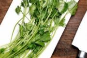 香菜能泡水喝吗 香菜煮水喝完3小时排毒