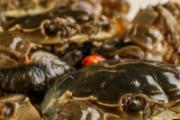 做生腌蟹用黄酒还是白酒好 生腌蟹的料汁能否重复使用