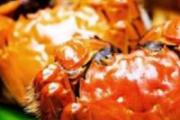 吃螃蟹要注意什么