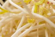 吃绿豆芽可以减肥吗 绿豆芽怎么吃减肥