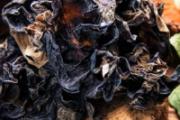 干木耳长霉了还能吃吗 干木耳发霉了怎么办