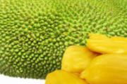 吃菠萝蜜会过敏吗