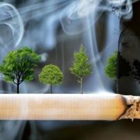 吸烟的危害,吸烟的坏处,吸烟的好处