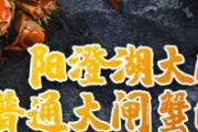 阳澄湖大闸蟹和普通大闸蟹的区别 阳澄湖大闸蟹几月份最好吃