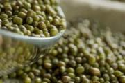 绿豆发芽是怎么回事 绿豆生芽了还能熬粥吗