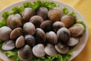 吃什么食物能治痔疮