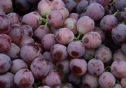 桂圆和葡萄一起吃有什么好处