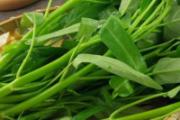 空心菜是发物吗 发物原来是这些食物