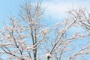 小雪节气由来
