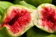 吃无花果干拉肚子吗 糖尿病能吃无花果干吗