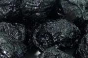 熟地黄和什么搭配最佳 当归、山茱萸、知母！