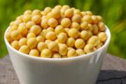 新鲜黄豆发芽可以吃吗 发芽的黄豆有什么营养