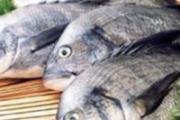 抑郁症吃什么食物好