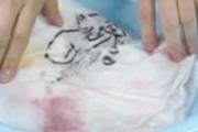 橘子汁弄白色衣服上怎么洗 橘子发霉沾到衣服怎么洗