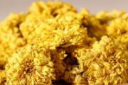 菊花过期还能喝吗 菊花过期了饮用会怎样
