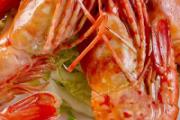 基围虾可以和豆腐一起吃吗 基围虾和豆腐怎么一起吃