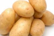 土豆的功效与作用 土豆的吃法大全