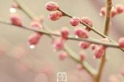 大寒后是什么节气