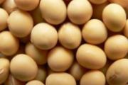 保护乳房吃什么好 乳房最喜欢的9种食物
