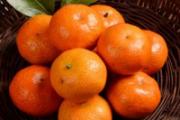 砂糖橘如何分辨好坏 砂糖橘的皮可以冲水喝吗