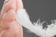 脚底养生常识 养生精华全在脚：健脑、养脏腑、调未病