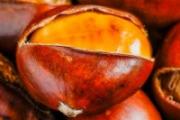 烤箱烤栗子温度和时间 烤箱烤栗子要开口吗
