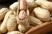 减肥期间能吃坚果吗 这4种坚果可以放心吃