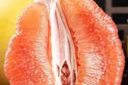 柚子剥开了怎么保存 吃柚子上火还是下火