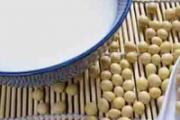 豆浆和蜂蜜能一起喝吗 豆浆能和药物一块吃吗