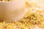 口臭喝什么茶效果最好