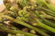 干蕨菜的功效作用 干蕨菜怀孕可以吃吗