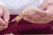 虾线不去除可以吃吗 吃虾不去虾线有什么危害