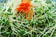 绿豆芽的根可以吃吗 绿豆芽怎么吃最好
