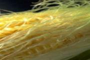 玉米须水饭前还是饭后喝 玉米须水晚上可以喝吗