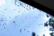 白天回潮可以开窗吗 回潮天气怎么应对
