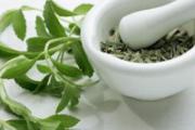 马齿苋敷脸有何功效