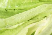 油麦菜吃多了好吗 油麦菜吃多了会怎么样