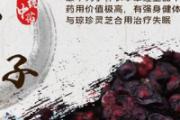 五味子泡水刺激胃吗 五味子泡水可以加蜂蜜吗